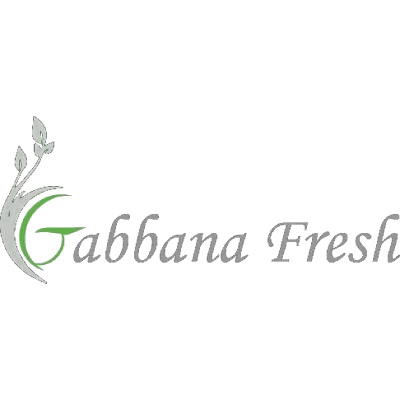 Gabbana Fresh 